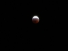 eclissi-di-luna-3-3-07-29