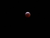 eclissi-di-luna-3-3-07-33